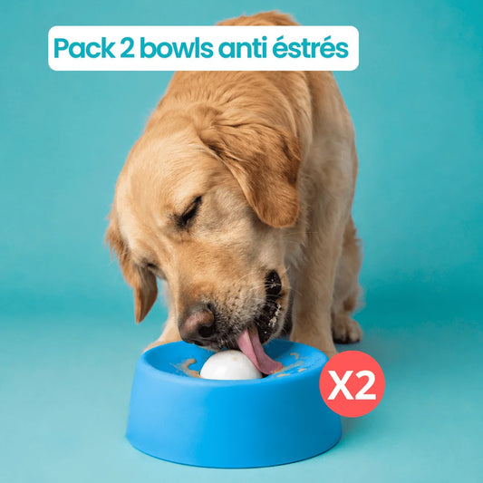 Bowl anti estrés