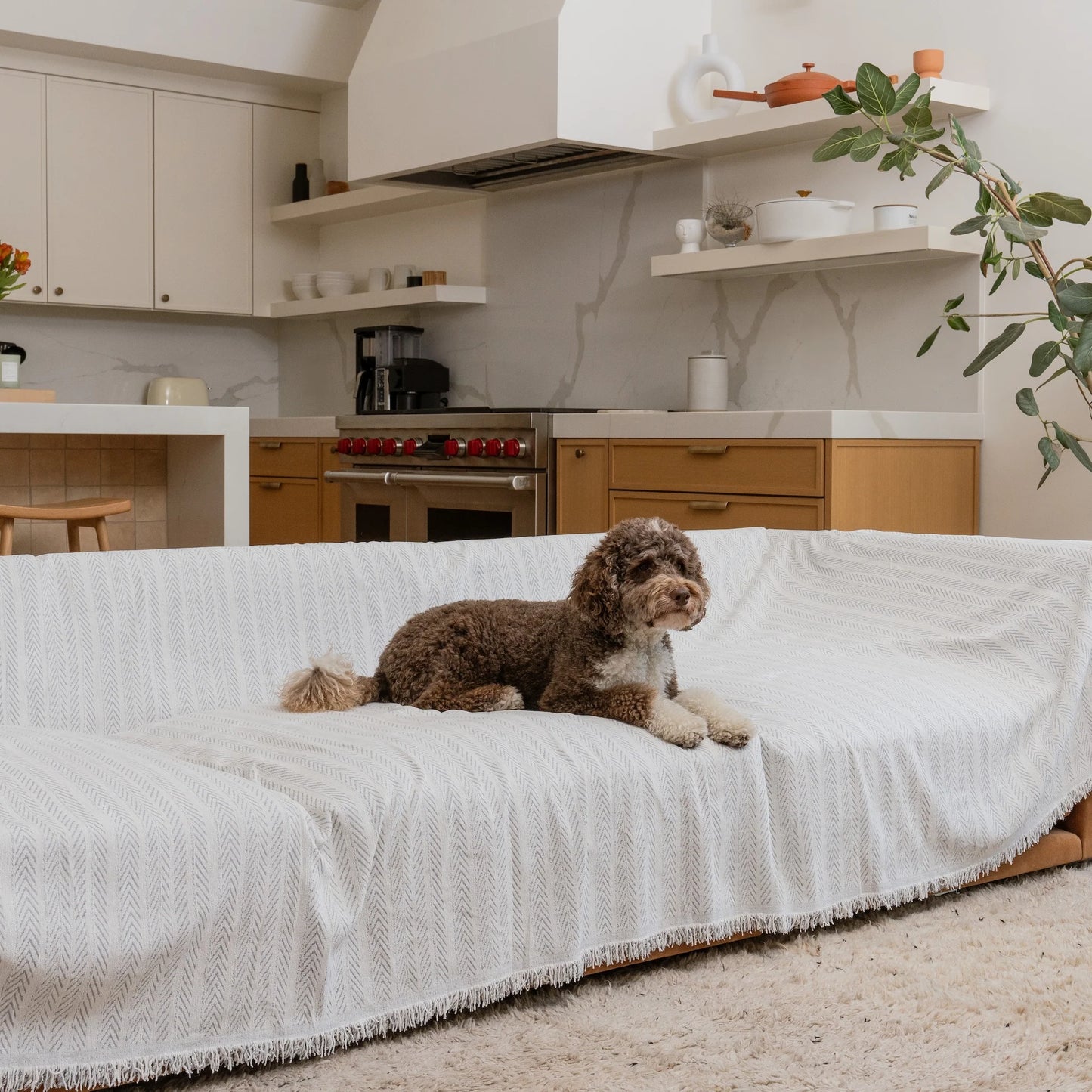 Manta mágica cubre sofá