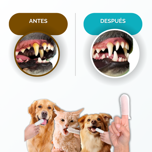 Pack Toallitas dentales para mascotas