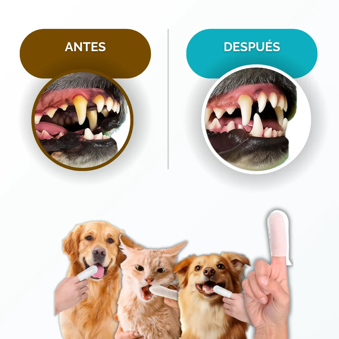 Pack de toallitas dentales para mascotas