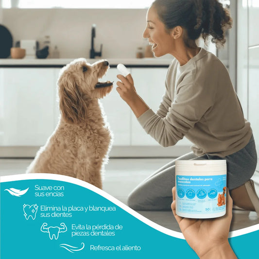Pack Toallitas dentales para mascotas