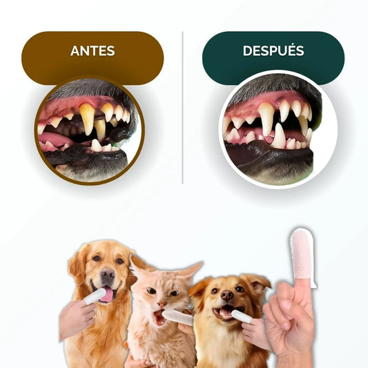 Pack de toallitas dentales para mascotas