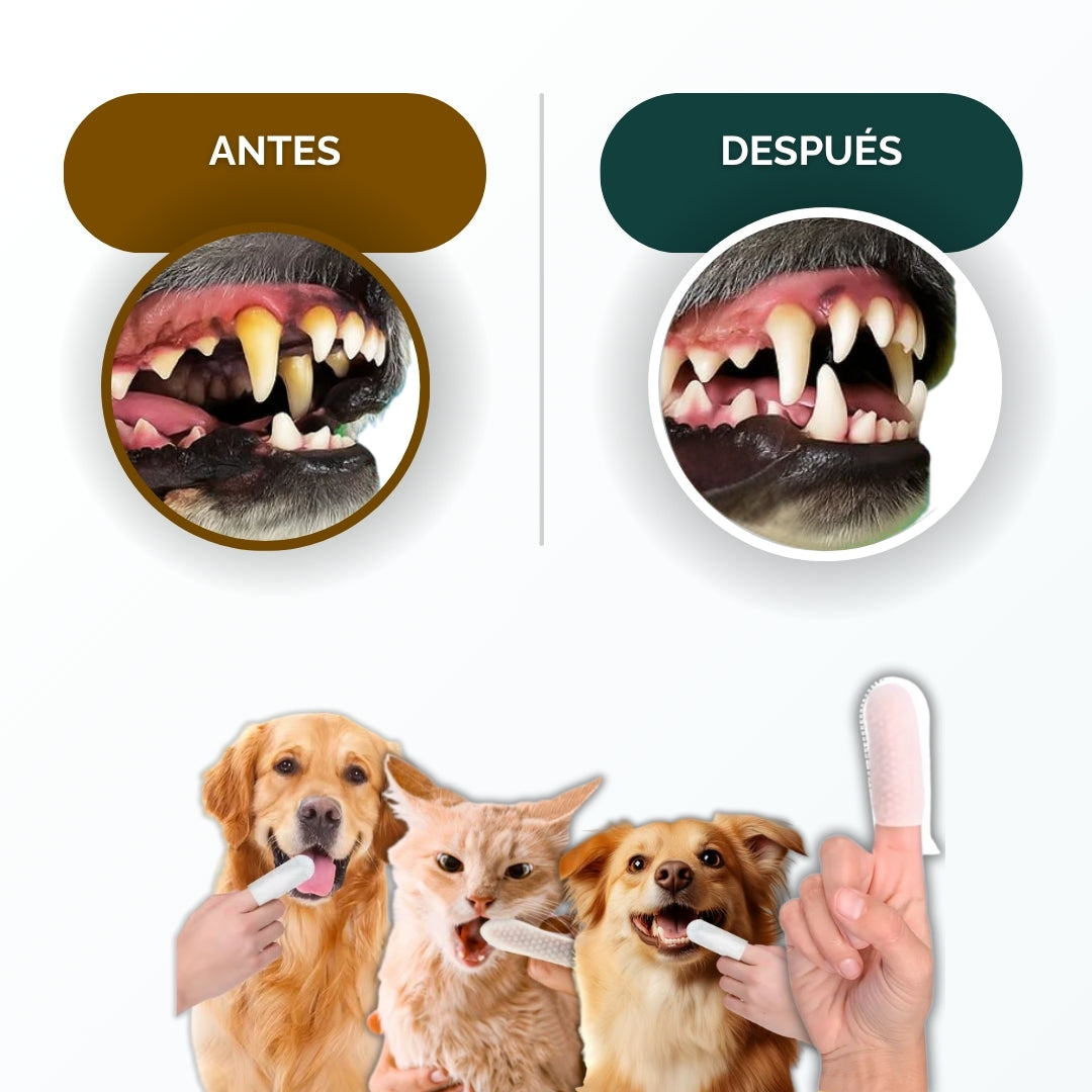 Pack de toallitas dentales para mascotas
