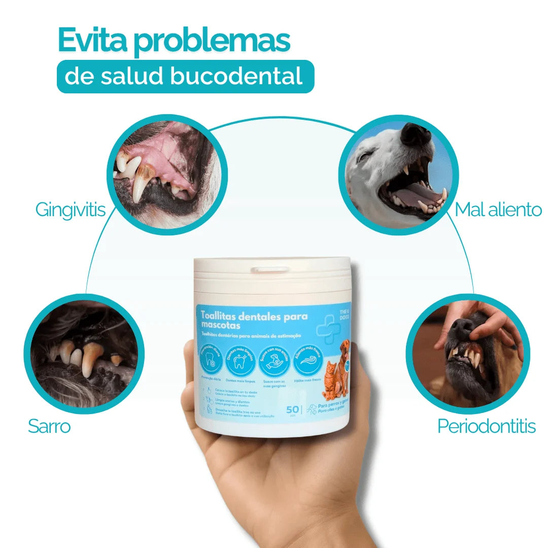 Toallitas dentales para mascotas