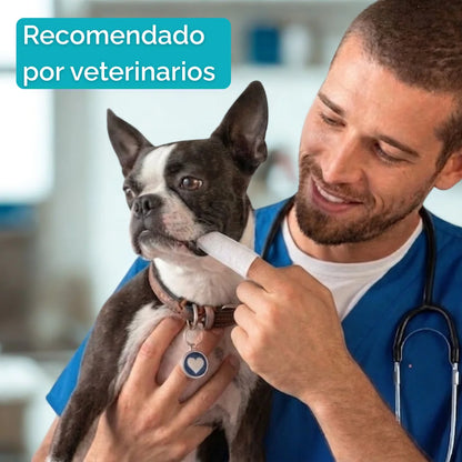 Toallitas dentales para mascotas