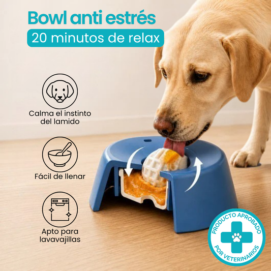 Bowl anti estrés