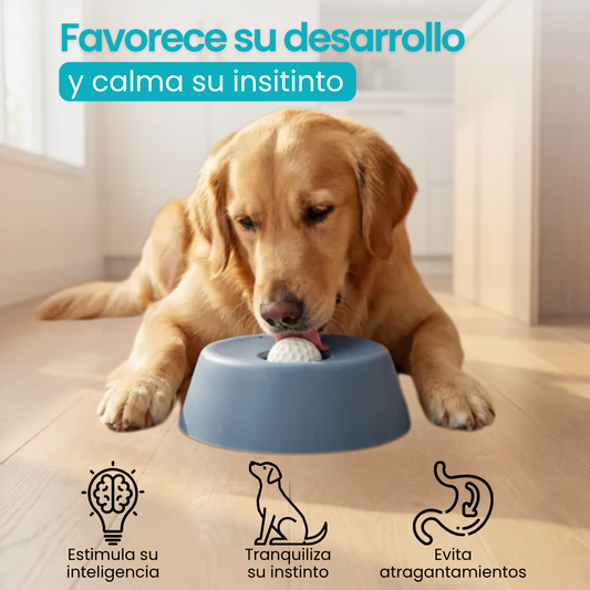 Bowl anti estrés