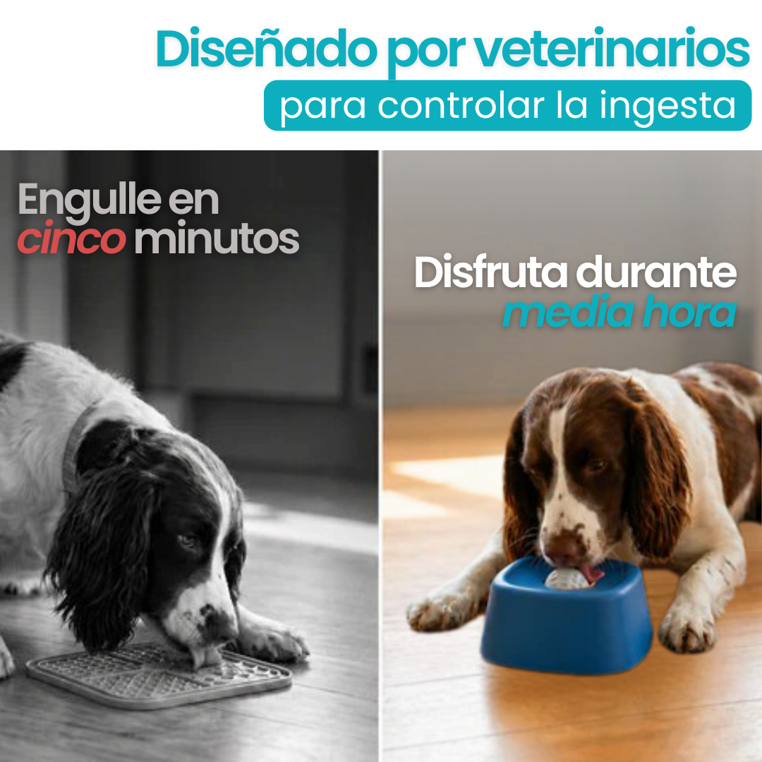 Bowl anti estrés