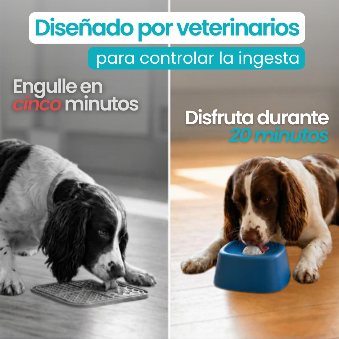 Bowl anti estrés
