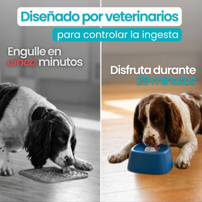 Bowl anti estrés