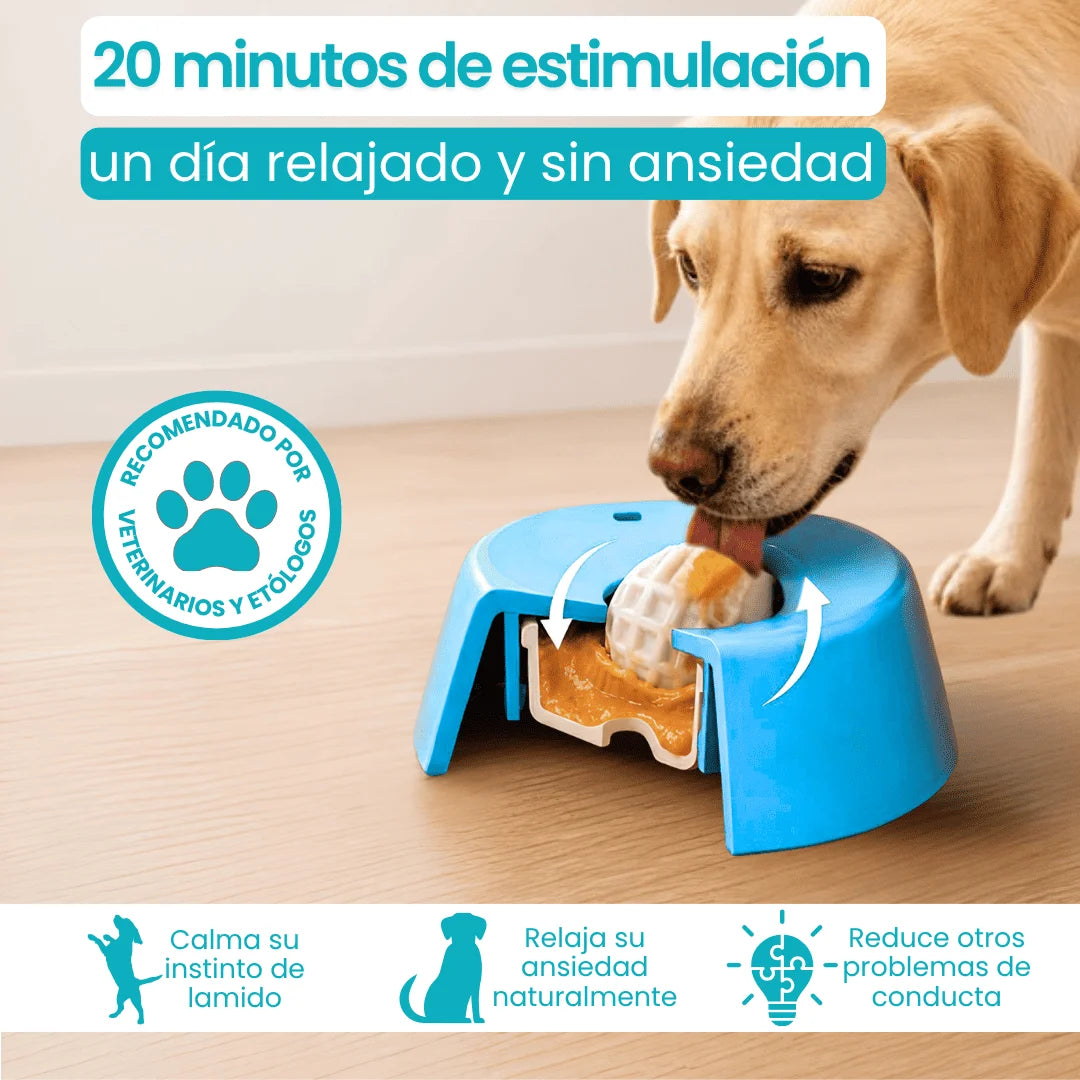 Bowl anti estrés