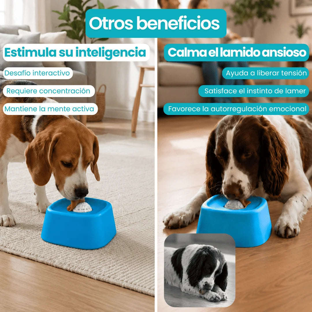 Bowl anti estrés