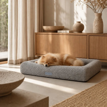 Cama Suite