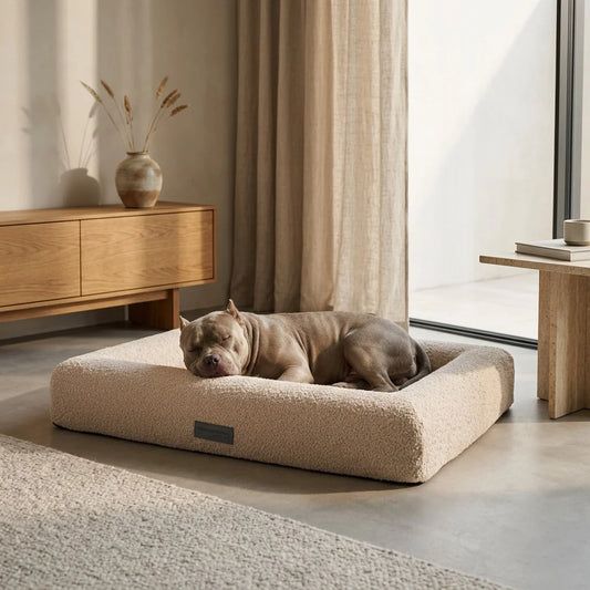 Cama Suite