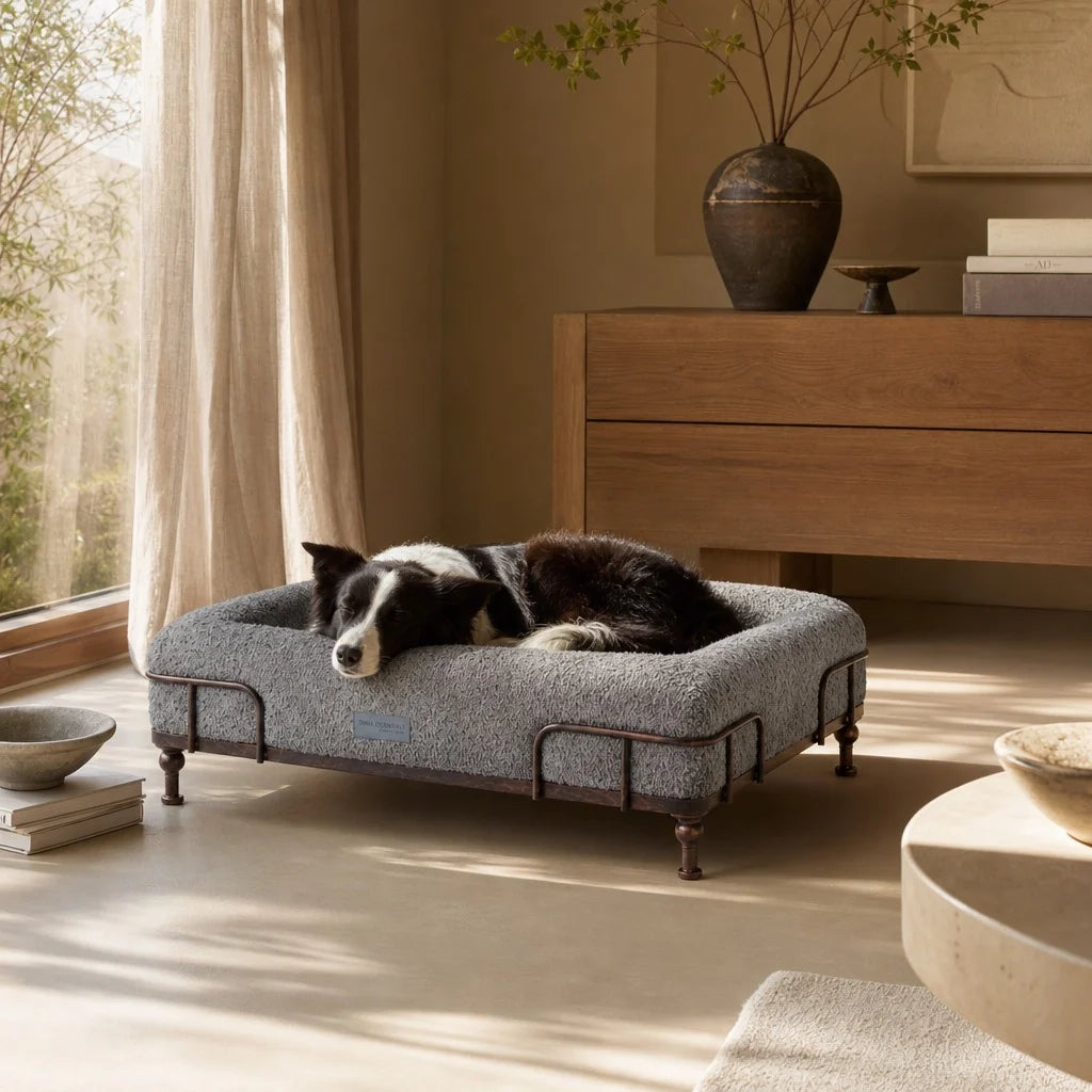 Cama Suite + Base Reina