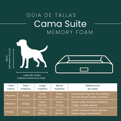 Cama Suite