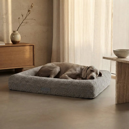 Cama Suite