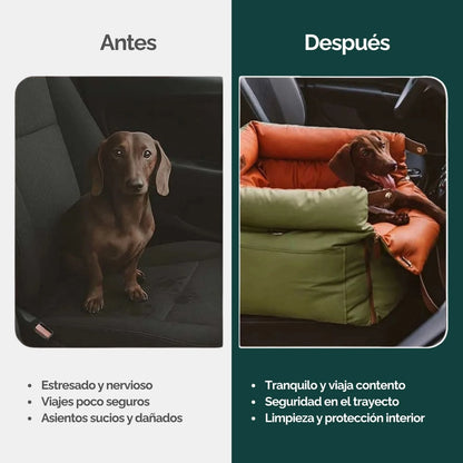 Asiento de viaje Primera Clase