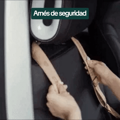 Asiento de viaje 1ª Clase