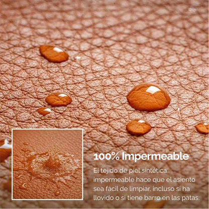 Asiento de viaje 1ª Clase