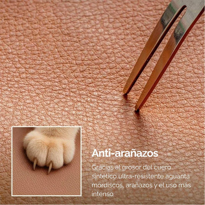 Asiento de viaje 1ª Clase