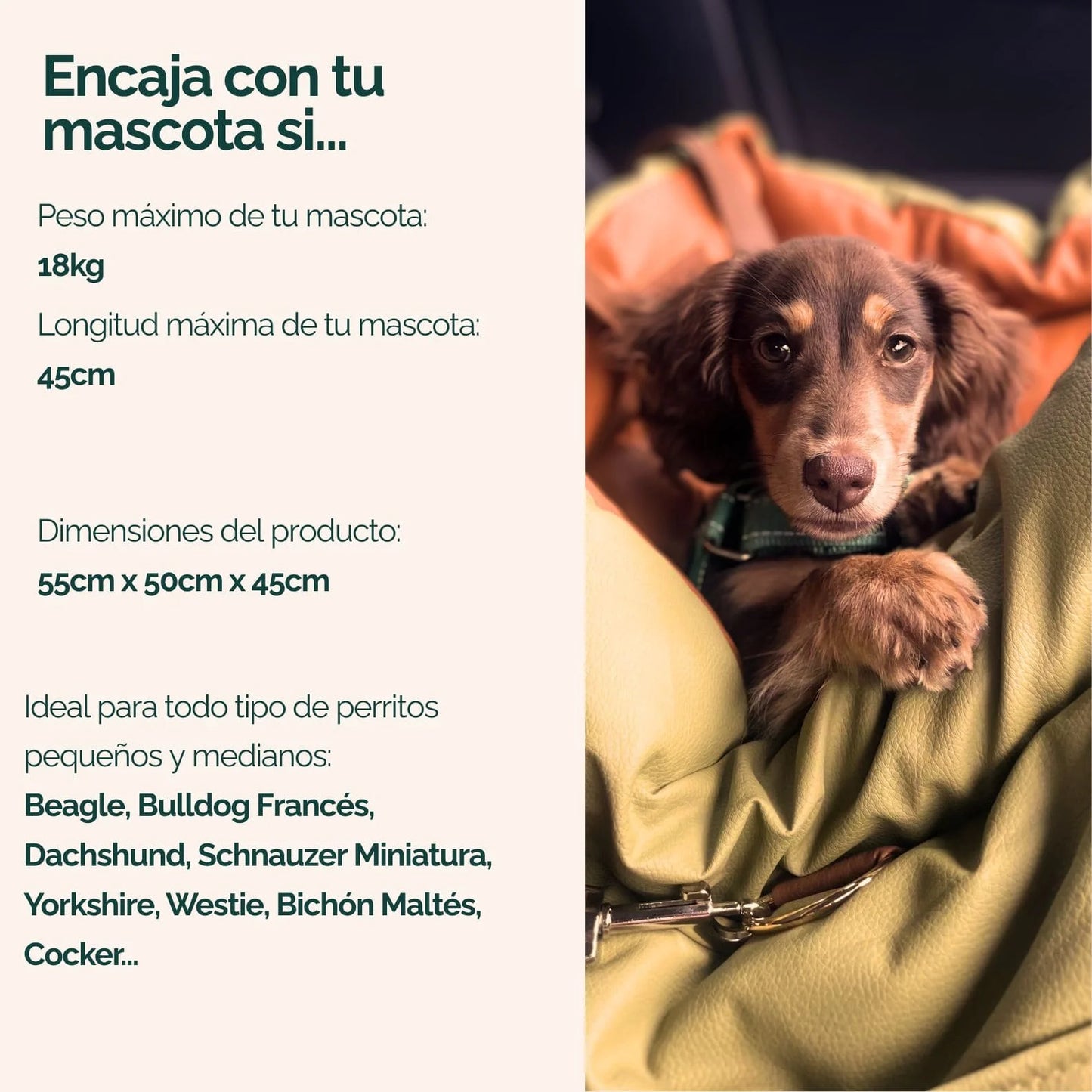 Asiento de viaje 1ª Clase