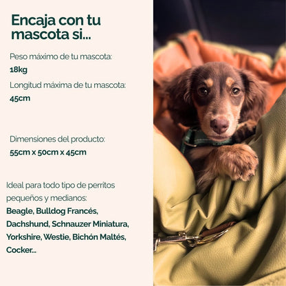 Asiento de viaje 1ª Clase