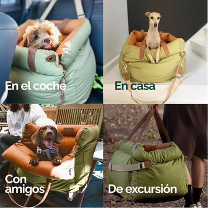 Asiento de viaje 1ª Clase