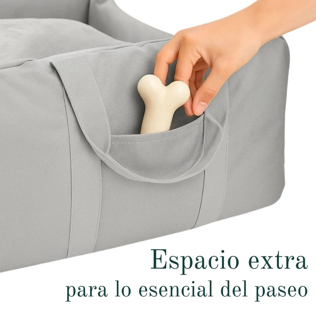 Asiento de viaje Primera Clase (Descartado)